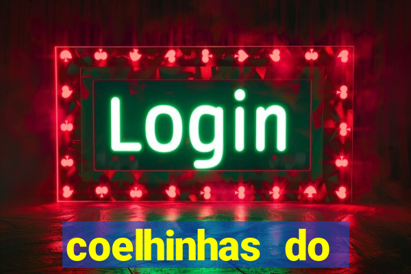 coelhinhas do brasil jp